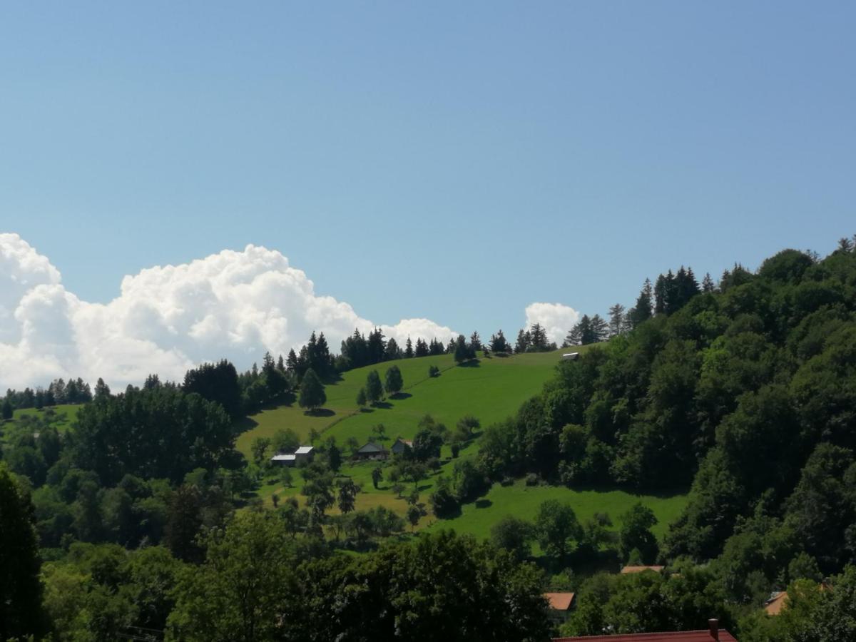 Pensiunea Transilvania Lodge Bran  Esterno foto