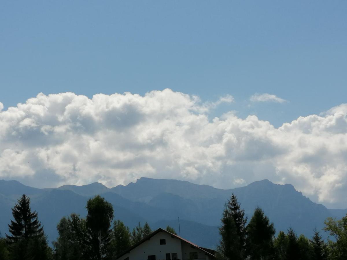 Pensiunea Transilvania Lodge Bran  Esterno foto