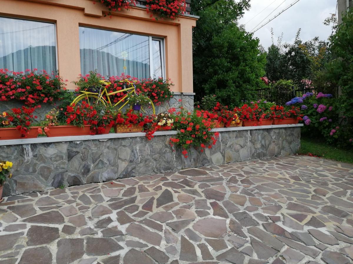 Pensiunea Transilvania Lodge Bran  Esterno foto