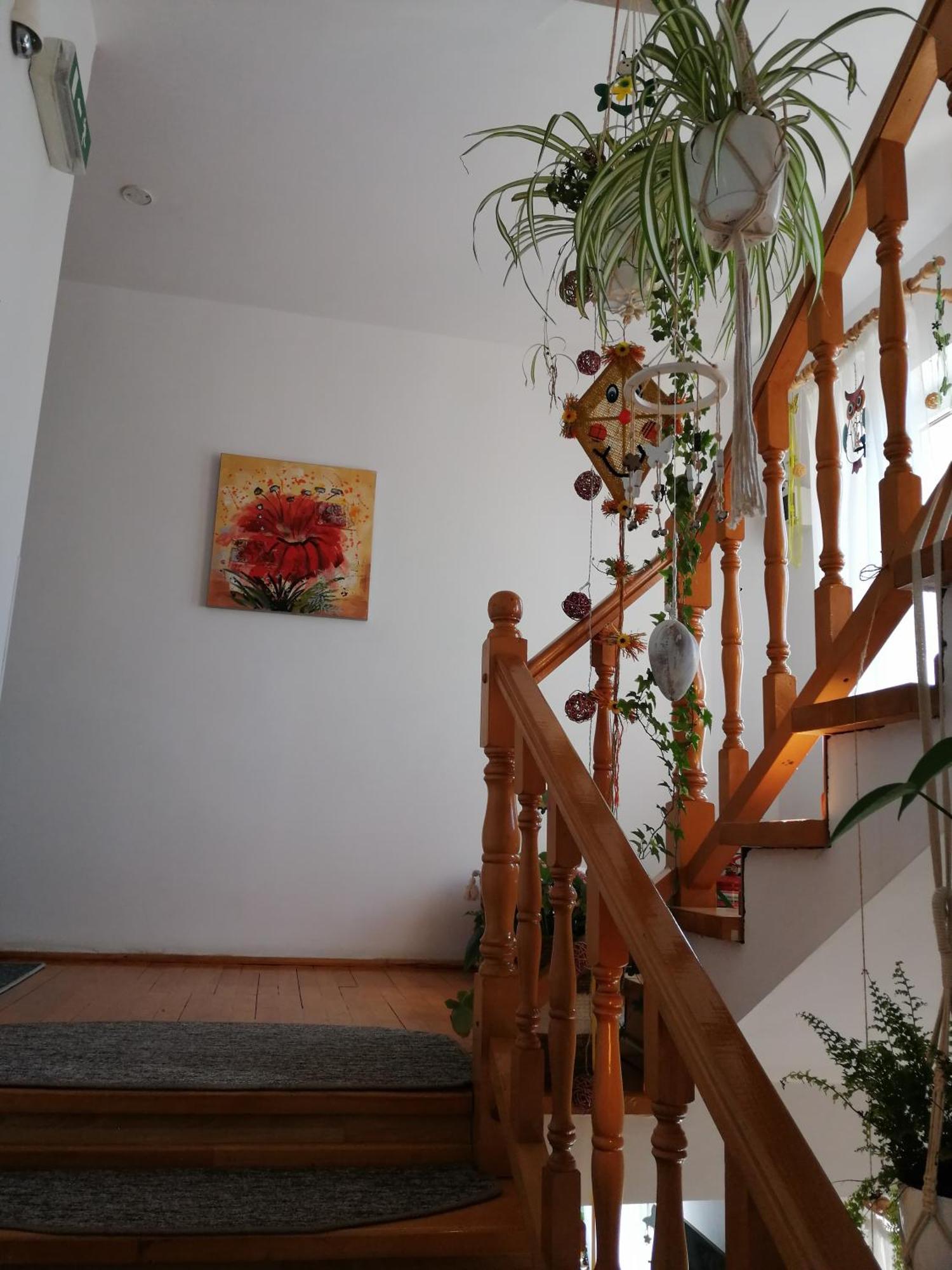 Pensiunea Transilvania Lodge Bran  Esterno foto