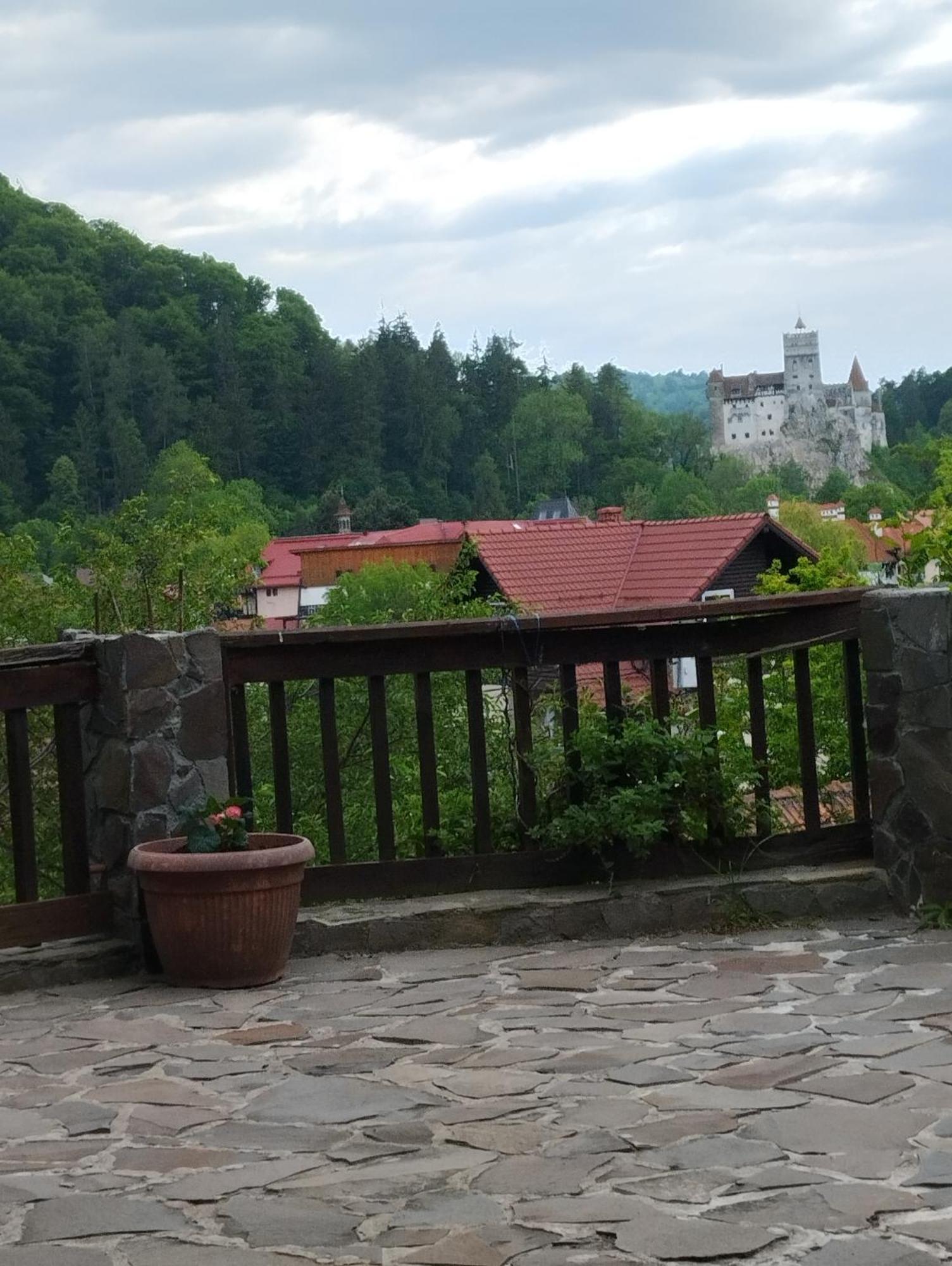 Pensiunea Transilvania Lodge Bran  Esterno foto